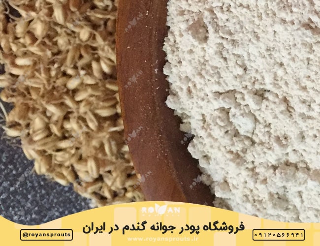 قیمت پودر جوانه گندم