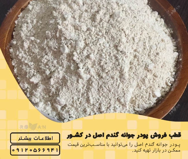 فروش پودر جوانه گندم